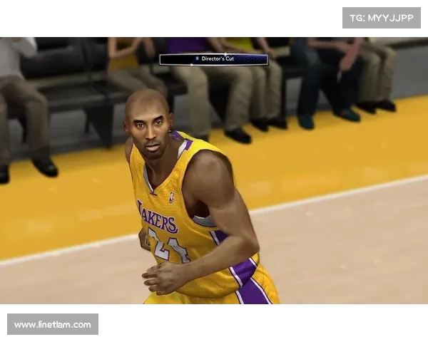 《深度解析NBA经典纪录片：重温历史瞬间与传奇球员的巅峰时刻》