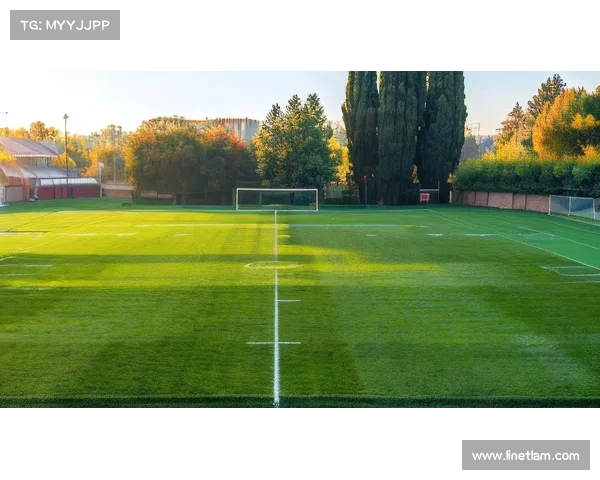 球场氛围：热血与激情交织的竞技场，球迷与运动员共舞的欢乐时刻