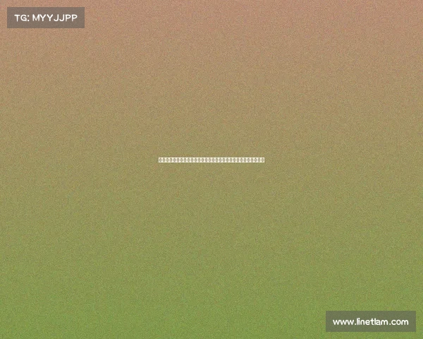 球场氛围：热血与激情交织的竞技场，球迷与运动员共舞的欢乐时刻